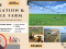 PR1800  Irrigation and Cattle farm 408 ha for sale in Alma Limpopo